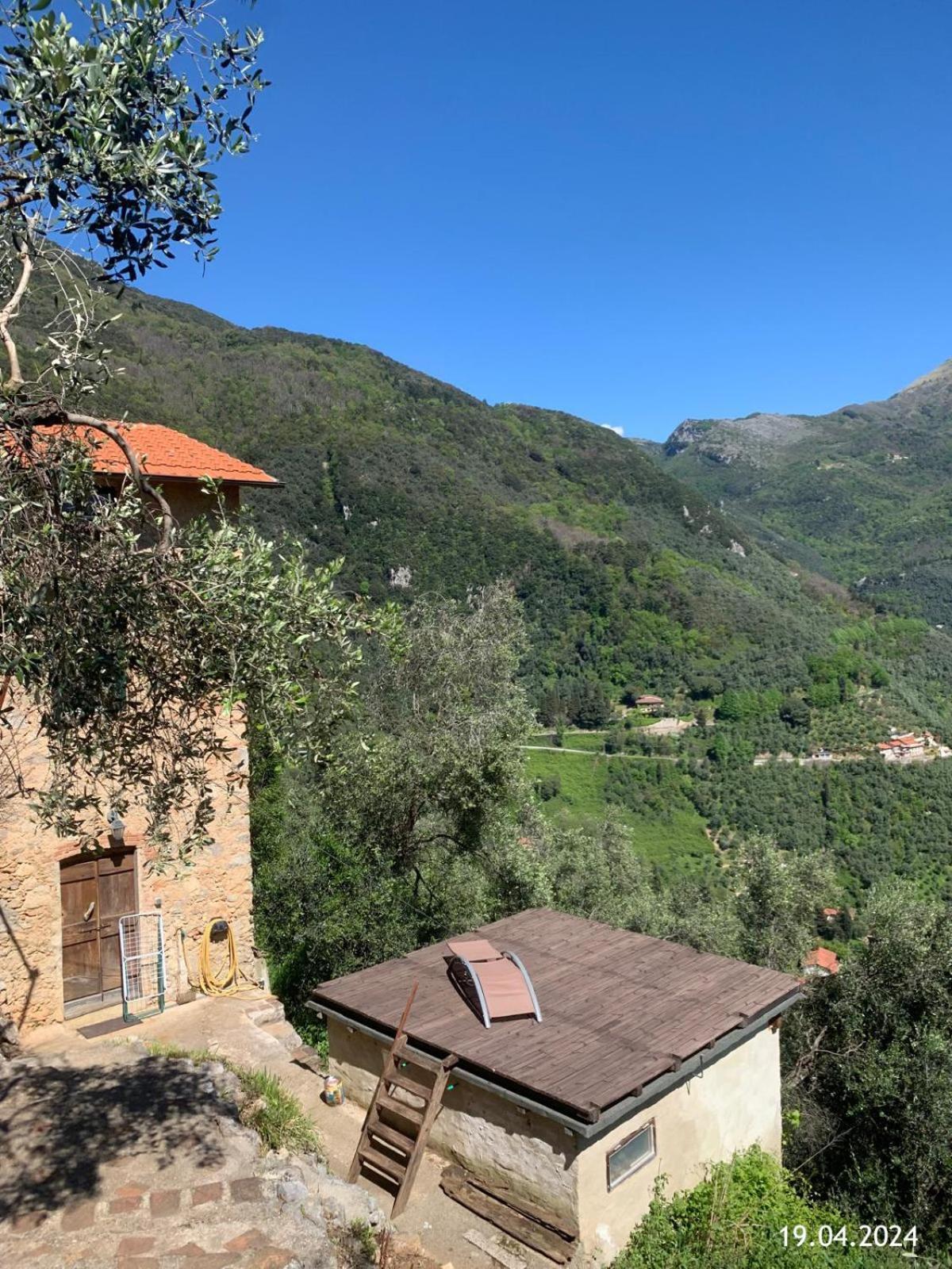 Casa Berti - Urlaub Im Olivenhain Camaiore Exterior photo